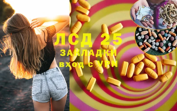 стаф Алзамай