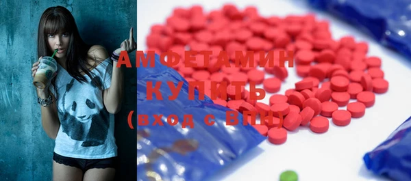 стаф Алзамай