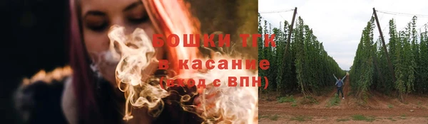 сатива Алексеевка