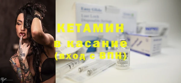 стаф Алзамай