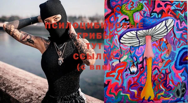 сатива Алексеевка
