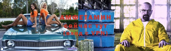 сатива Алексеевка
