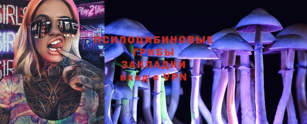 стаф Алзамай