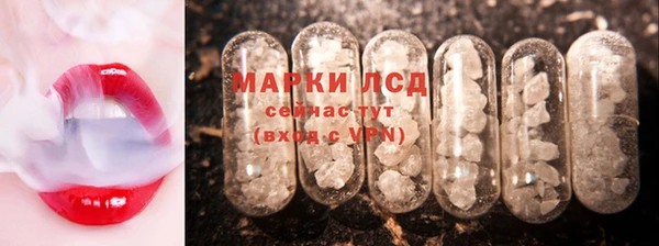 стаф Алзамай