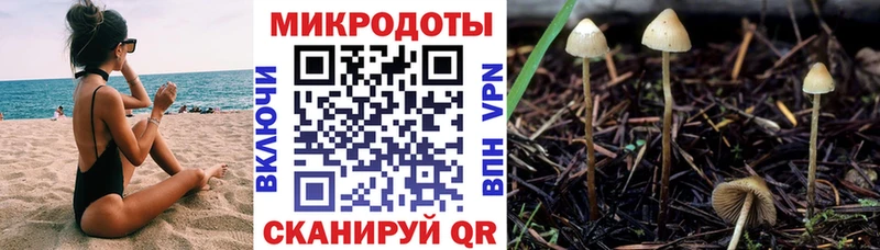 Галлюциногенные грибы Cubensis Анива