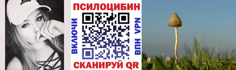 Псилоцибиновые грибы прущие грибы Анива